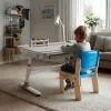 Ergo Office Children's Ergonomic Height Adjustable Desk, szary, max 100kg, ER-417 2cz