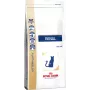 Sucha karma dla kota Royal Canin Renal Adult 2 kg — smak drobiowy, 23% białka, 17% tłuszczu