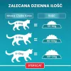 PURINA One Bifensis Sterilcat Wołowina - sucha karma dla kota - 800 g