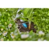 Gardena 13315-20 Narzędzie ogrodowe 15 L Czarny