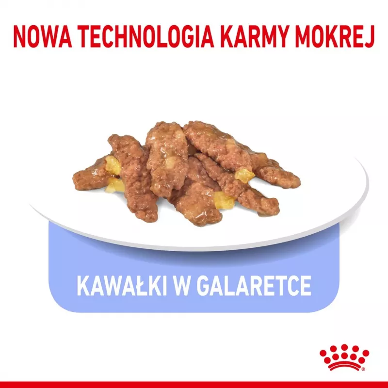 Mokra karma dla kota Royal Canin Indoor Sterilized saszetka 85 g — dorosłe koty sterylizowane przebywające w domu, smak drobiowy, opakowanie 12 x 85 g