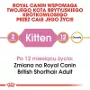 Sucha karma dla kota Royal Canin British Shorthair Kitten 2 kg – kurczak, 38% białka, 20% tłuszczu, formuła wzrostu