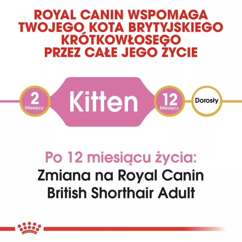 Sucha karma dla kota Royal Canin British Shorthair Kitten 2 kg – kurczak, 38% białka, 20% tłuszczu, formuła wzrostu