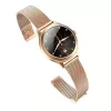 Smartwatch MaxCom FW42 GOLD Gold