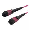 Kabel krosowy LWL-MTP-żeński OM4 LowLoss(ELite), 12 włókien, skrzyżowany typ B, fiolet wrzosowy, 15 m, Synergy 21 (S216792)