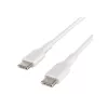 Kabel USB Belkin BoostCharge 1 m USB C biały USB 2.0