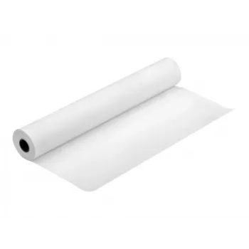 Błyszczący papier fotograficzny Epson C13S041892 17 cali x 30,5 m 250 g/m²