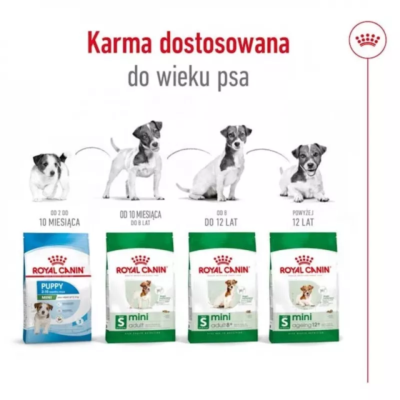 ROYAL CANIN Adult Mini S - sucha karma dla psów - 4kg