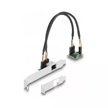 DeLOCK 95271 Wewnętrzna karta sieciowa 2500 Mbit/s Mini PCI Express