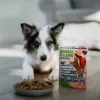 ANIMAL ISLAND Everyday Monoprotein Cielęcina - mokra karma dla psów - 300g