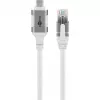 Goobay 74176 - adapter kablowya sieciowego USB 3.1 Typ C Gigabit Ethernet 2 m - Karta sieciowa - 1.000 Mbps (74176)