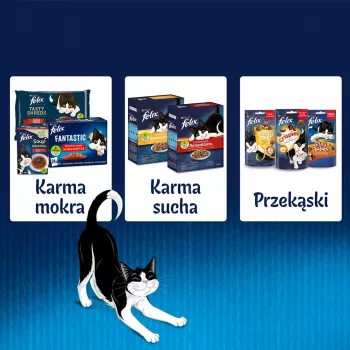 Felix Fantastic królik, jagnięcina - mokra karma dla kotów 340 g (4x 85 g)