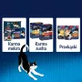 Felix Fantastic królik, jagnięcina - mokra karma dla kotów 340 g (4x 85 g)