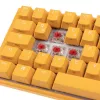 Ducky One 3 SF żółty Klawiatura Gamingowa USB Mechaniczna RGB LED