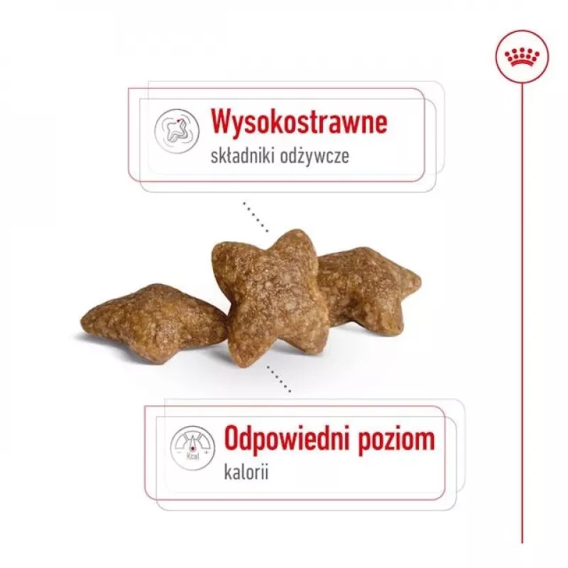 ROYAL CANIN Adult Mini S - sucha karma dla psów - 2kg