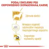 Sucha karma dla psa Royal Canin Maltese Adult 1.5 kg — kurczak, 24% białka, 18% tłuszczu