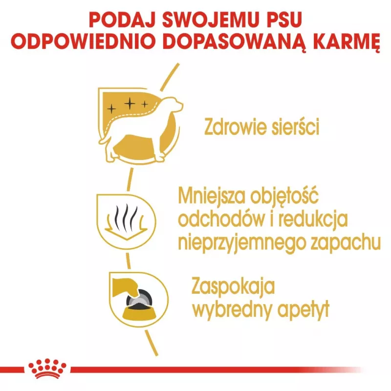 Sucha karma dla psa Royal Canin Maltese Adult 1.5 kg — kurczak, 24% białka, 18% tłuszczu