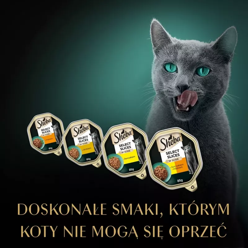 Mokra karma dla kota Sheba tacka Sos drobiowy (kurczak, indyk) 32 x 85 g tacka