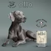 OLLO Pure Horse - mokra karma dla psa - 400g