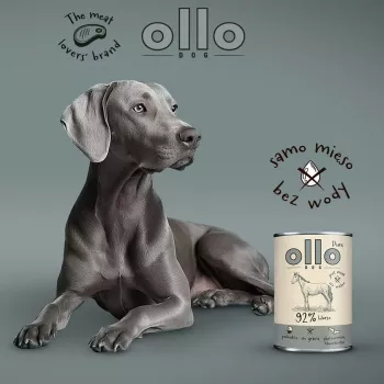 OLLO Pure Horse - mokra karma dla psa - 400g