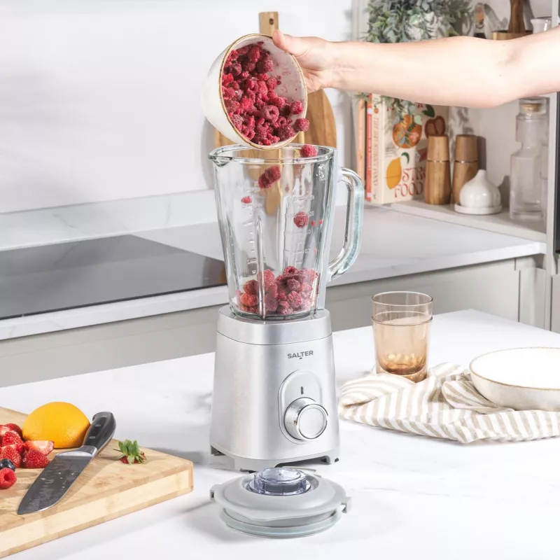 Blender Salter EK5531MMSVDE