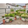 System nawadniania kroplowego Gardena 13401-20 długość węża 20 m