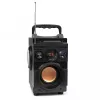 Głośnik Bluetooth 5.1 Squeak Bassblaster, Radio FM, Odtwarzacz MP3 SQ1001