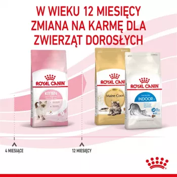 Sucha karma dla kota Royal Canin Kitten 4 kg Drób — junior sucha dieta, 36% białka, 18% tłuszczu
