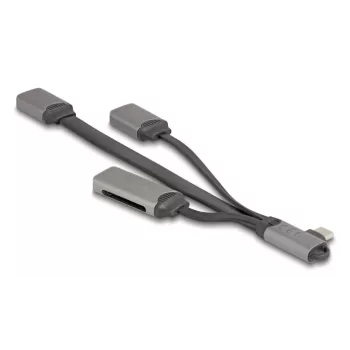 DeLOCK 64303 USB 3.2 Gen 1 Type-C Hub 5000 Mbit/s Szary