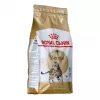 Sucha karma dla kota Royal Canin Bengal Adult 2 kg — drób, 40% białka, 18% tłuszczu, pielęgnacja układu pokarmowego i skóry
