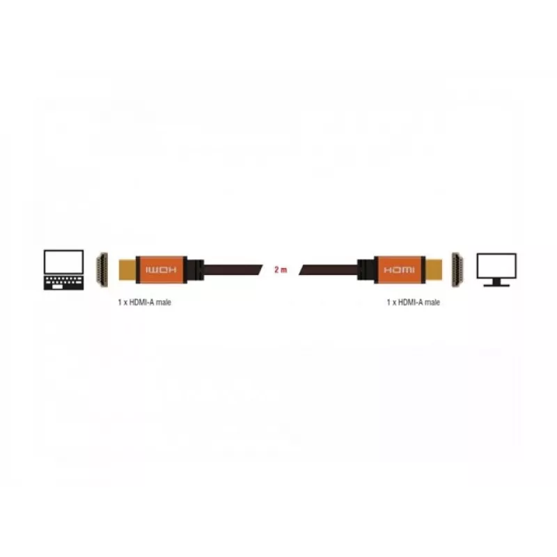 Kabel HDMI DeLOCK 85729 2 m HDMI Typ A Standard Czarny Złoty