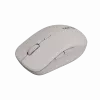 Canyon mysz MW-12 Dual band Wireless Beige - Mysz - 2.400 dpi (CNS-CMSW12BG)