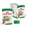 Mokra karma dla psów Royal Canin Mini Ageing 12+ Adult saszetka 85 g — małe rasy, drób, senior