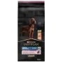 PURINA Sensitive Skin Large Athletic Adult Salmon - sucha karma dla psów - 14 kg