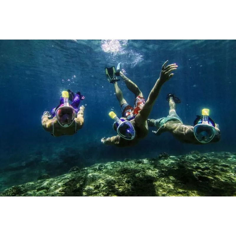 Maska do snorkelingu Free Breath M2068G L/XL — maska full-face, rozmiar L/XL, czarna