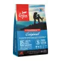 ORIJEN Dog Oryginalny - sucha karma dla psów - 2kg