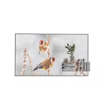 LG 55-calowy przezroczysty OLED 55EW5P z dołączonym kluczem One:Quick