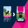 Sucha karma dla psa EUKANUBA Adult Large Chicken 15 kg — kompletna sucha karma dla dorosłych psów dużych ras, kurczak, 15 kg