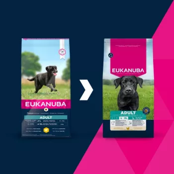 Sucha karma dla psa EUKANUBA Adult Large Chicken 15 kg — kompletna sucha karma dla dorosłych psów dużych ras, kurczak, 15 kg