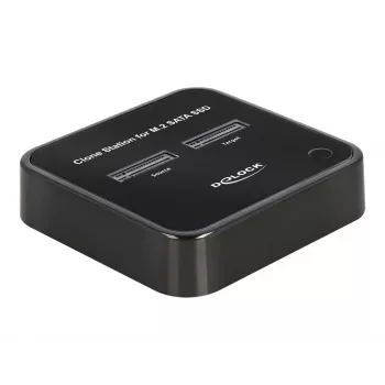 DeLOCK 64178 Stacja dokująca USB 3.2 Gen 2 Typu C SSD M.2