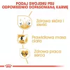 Royal Canin Cocker Adult sucha karma dla psów, 12 kg