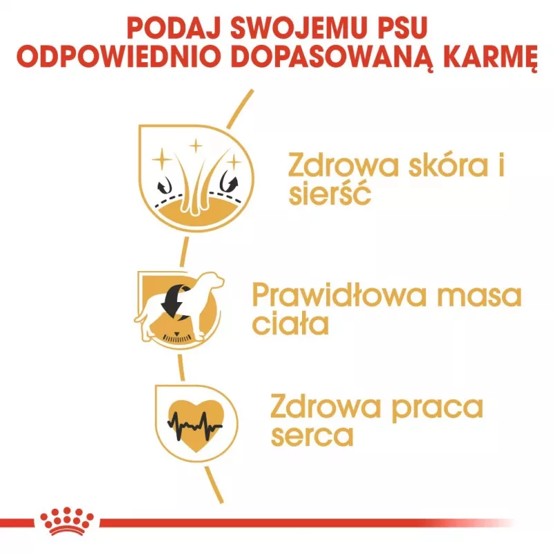 Royal Canin Cocker Adult sucha karma dla psów, 12 kg
