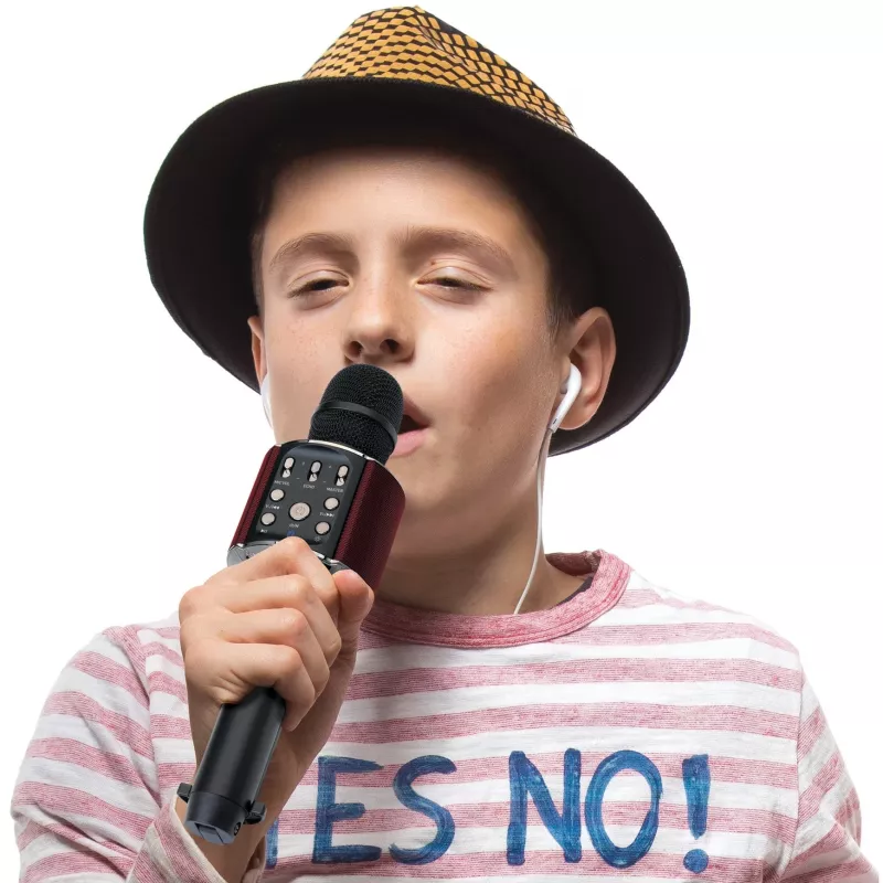 LENCO BMC-090 karaoke microphone, black