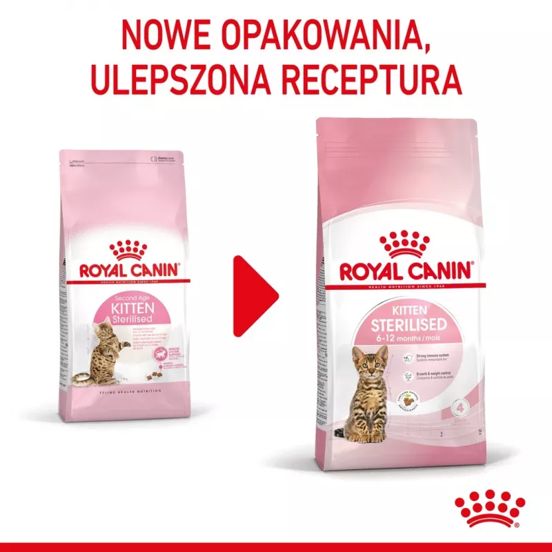 Sucha karma dla kota Royal Canin Kitten Sterilised 3,5 kg — drób, 34% białka, 12% tłuszczu