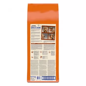 Sucha karma dla psa Purina Nestlé Dog Chow Mature Senior z jagnięciną, 14 kg, 24% białka, 10% tłuszczu