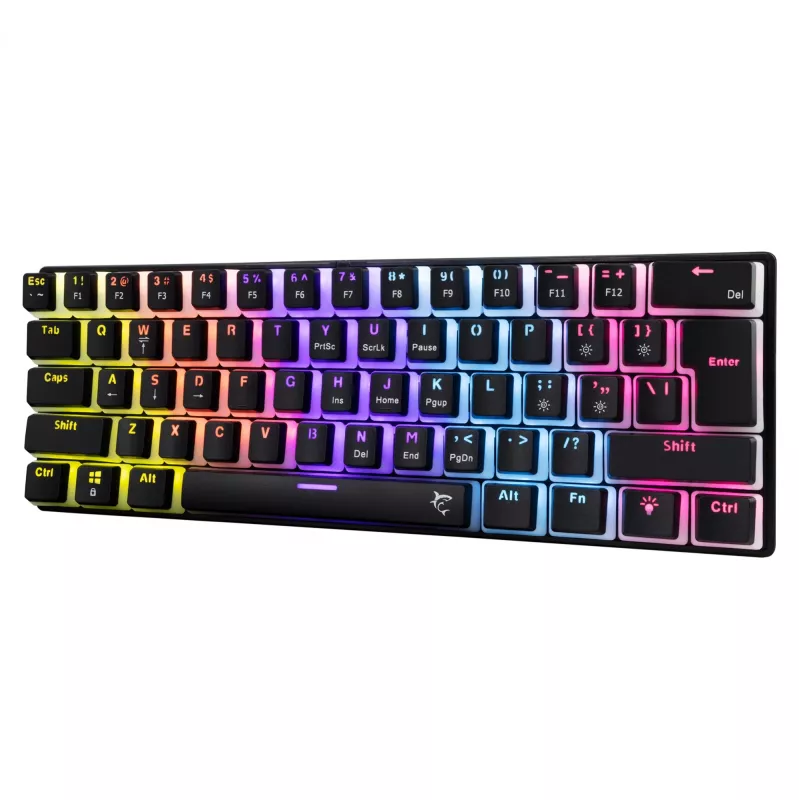 White Shark GK-2202 Ashiko 2 Czarny/Niebieski US