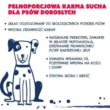 TEO Bogata w wołowinę - sucha karma dla psa - 9kg