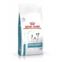 Sucha karma dla psa Royal Canin Vet Hypoallergenic Small Dog 1 kg — drób, 24% białka, 16% tłuszczu, bez laktozy