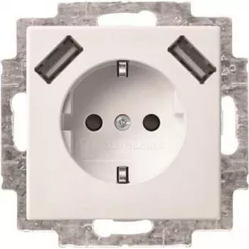 Busch-Jaeger SCHUKO-2x USB gniazdko wtykowe 20 EUCB2USB-914 (2CKA002011A6266)