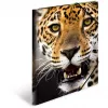 Folder Polypropylene (PP) HERMA 7137 Multicolour A4